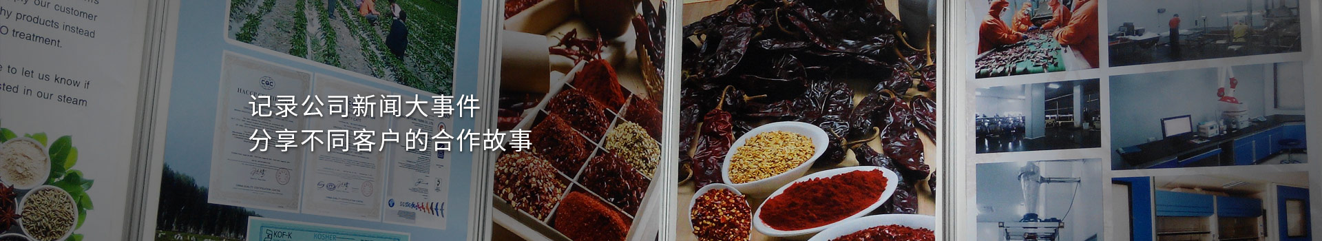 大豐食品：記錄公司新聞大事件，分享不同客戶的合作故事