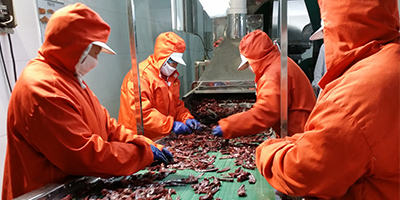 大豐食品 大豐食品