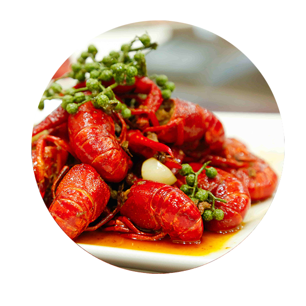 resource/images/e6578539e5404e18a71517c0a1c15a64_2.png resource/images/e6578539e5404e18a71517c0a1c15a64_2.png