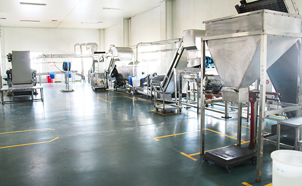 大豐食品 大豐食品