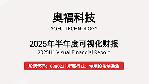 2025年半年度可視化財報